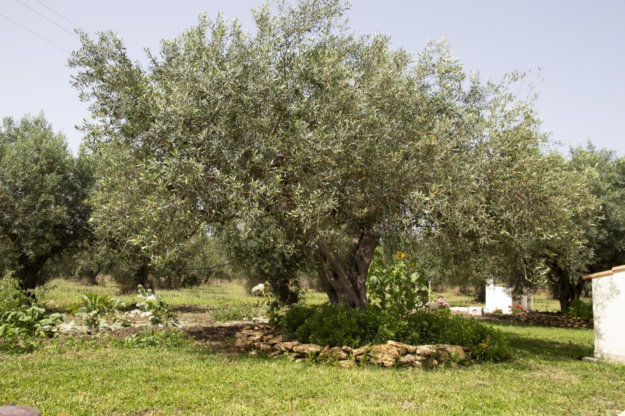 Casa Raineri Villa Paceco Buitenkant foto
