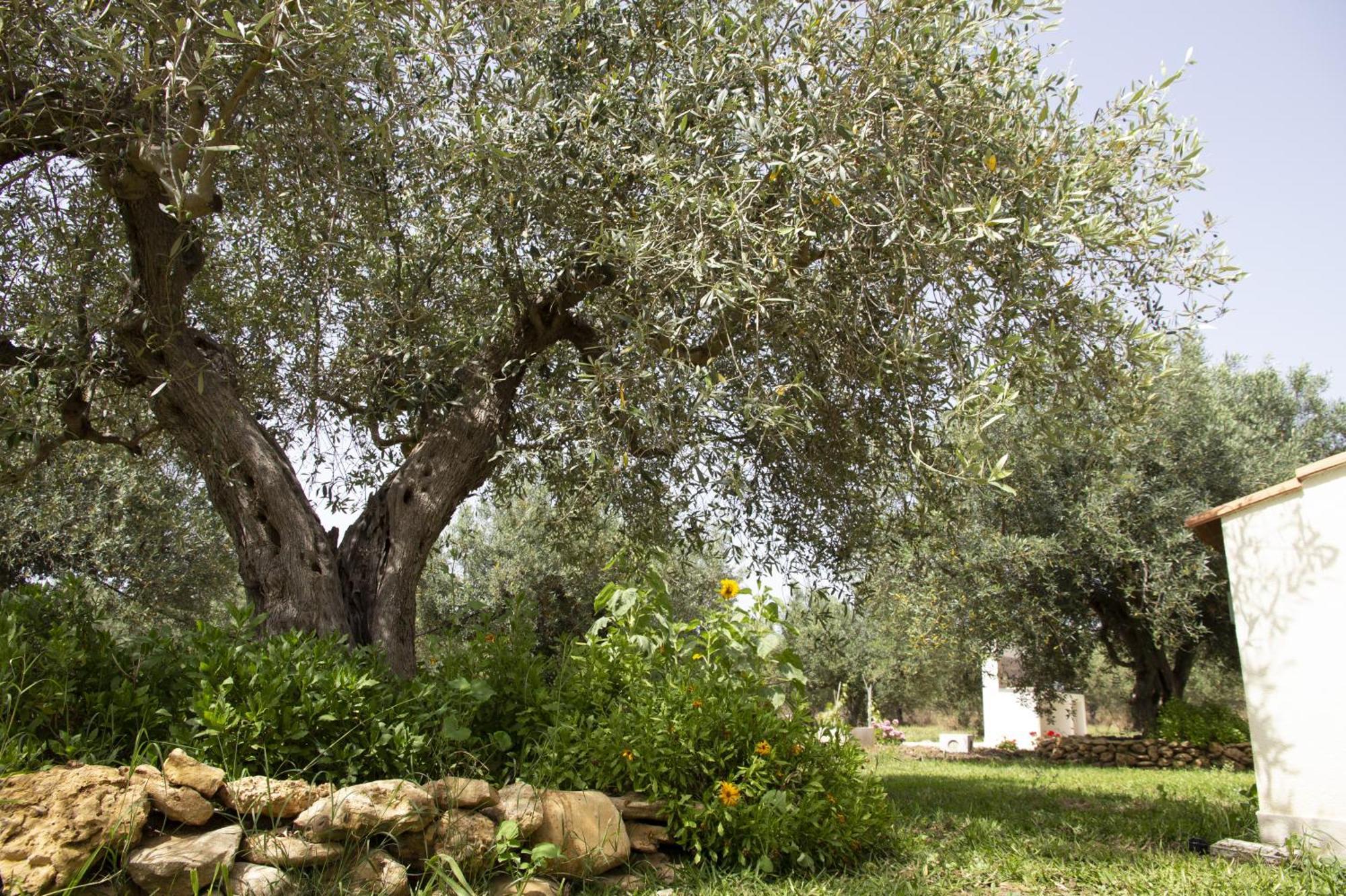 Casa Raineri Villa Paceco Buitenkant foto